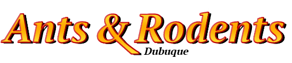 Dubuque Ant Exterminator & Rodent Control Company Logo